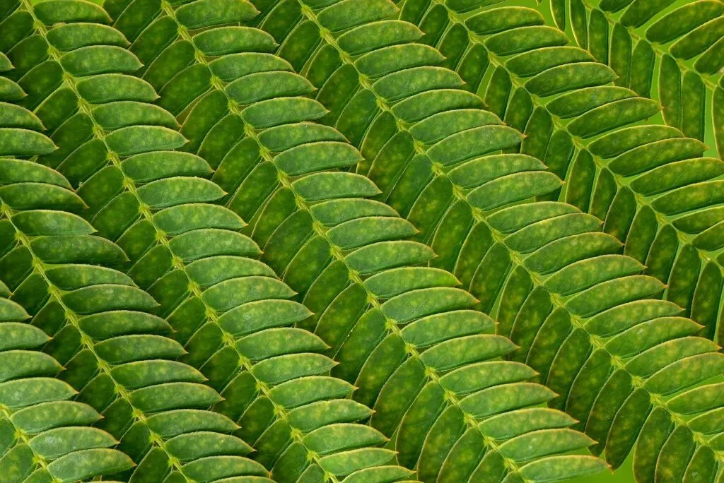 découvrez la structure du marché, ses composants essentiels et comment elle influence le comportement des consommateurs et des producteurs. apprenez à analyser les tendances du marché pour optimiser vos stratégies commerciales.